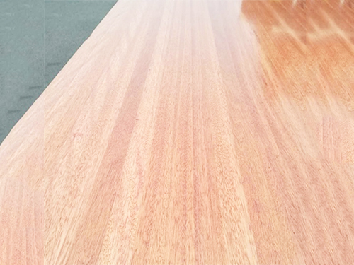 海棠木是一種什么木？