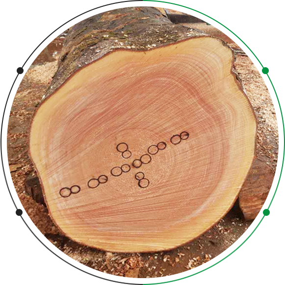 不銹鋼牙板、不銹鋼搓絲板定制